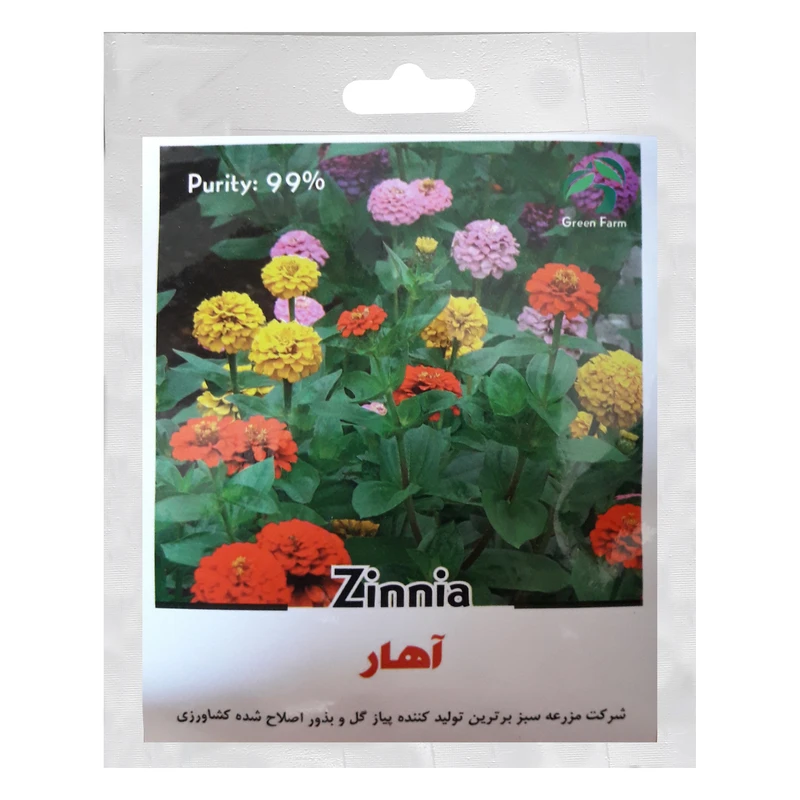 بذر گل آهار گرین فارم کد GH25