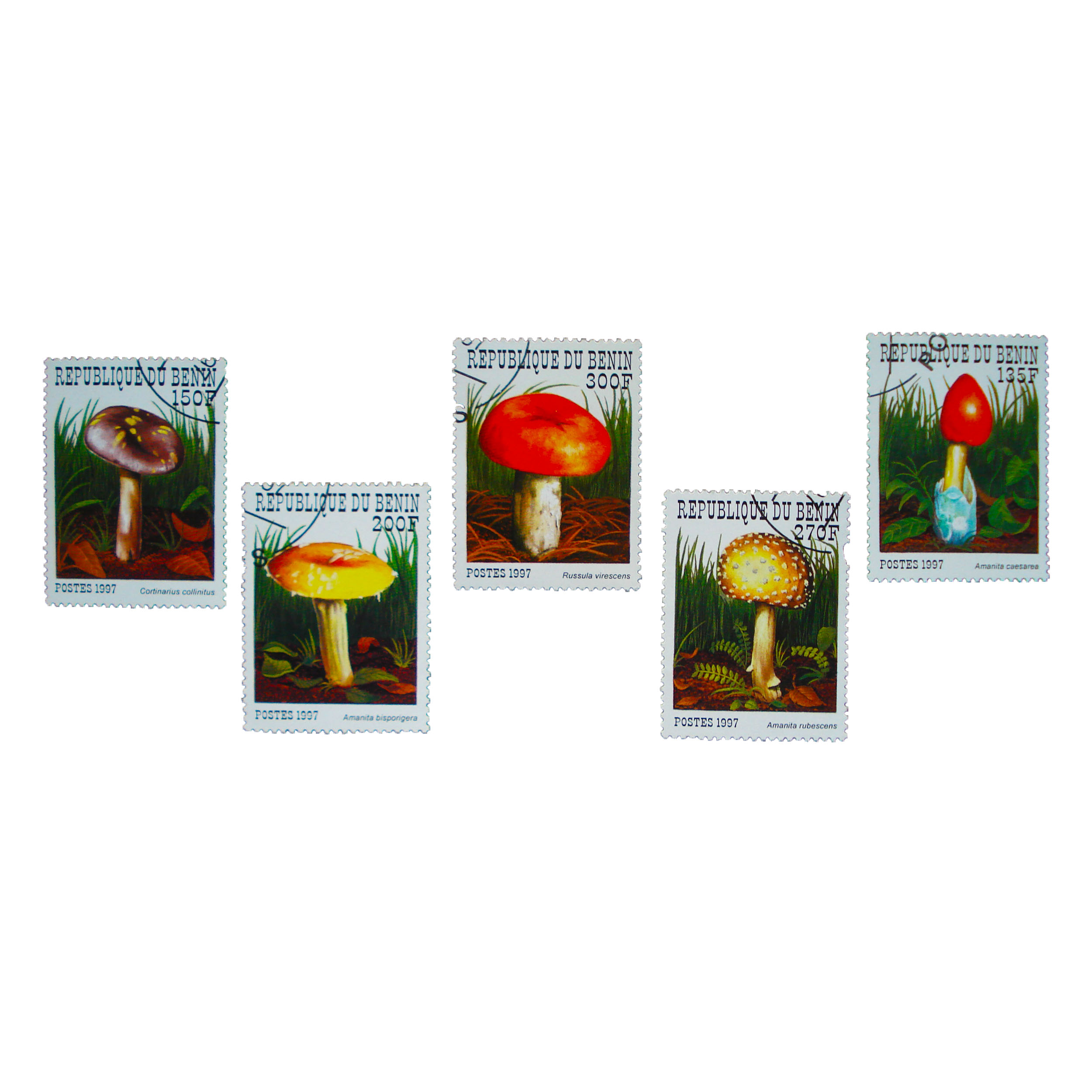 تمبر یادگاری مدل گیاه کد MUSH112 مجموعه 5 عددی