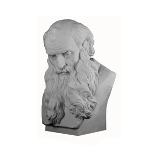 نقد و بررسی مجسمه طرح سقراط مدل x1016 توسط خریداران