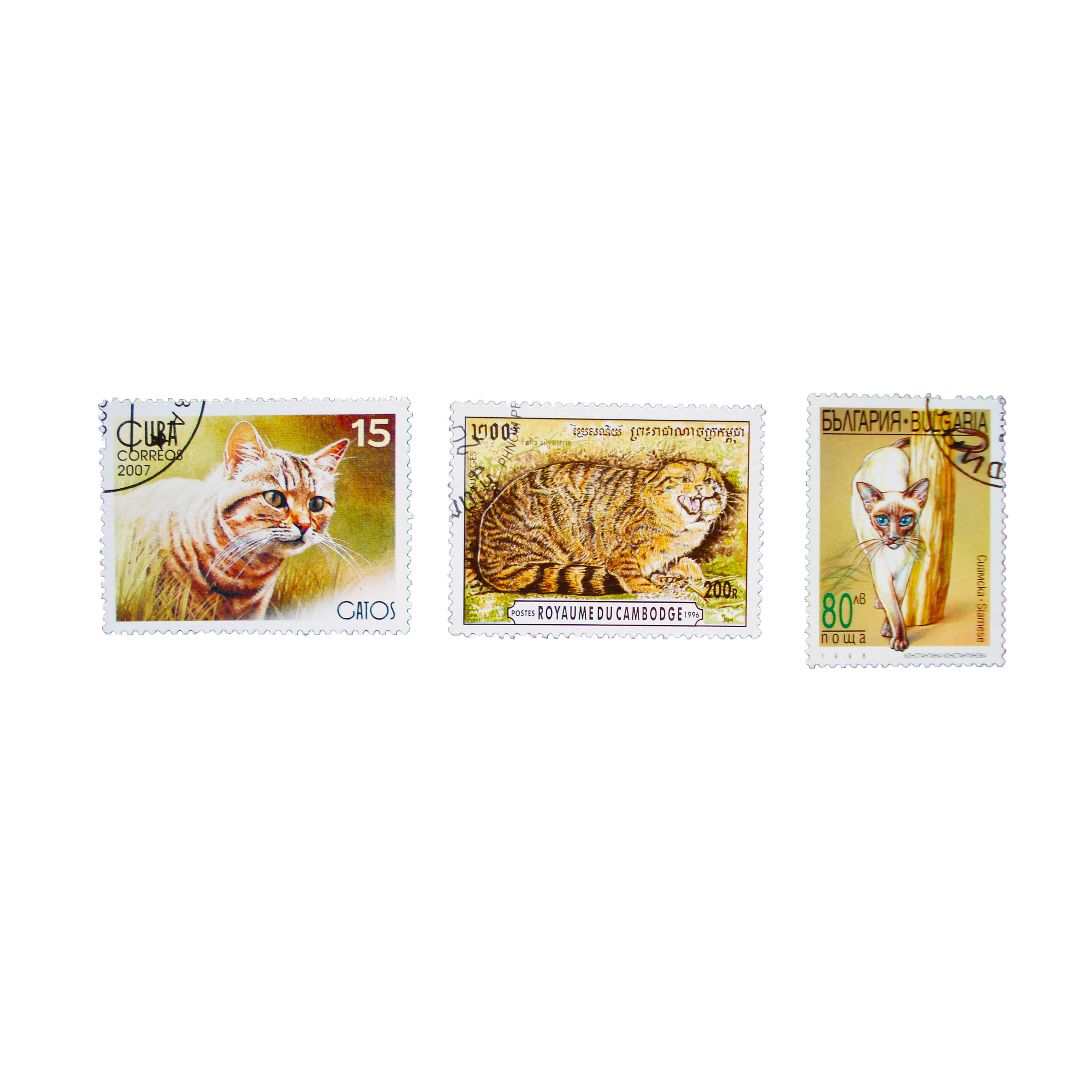 تمبر یادگاری طرح طبیعت مدل گربه کد CAT120 مجموعه 3 عددی