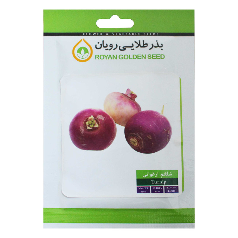 بذر شلغم ارغوانی بذر طلایی رویان مدل BZTR-058