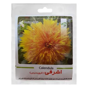 بذر گل اشرفی کروپسیس گرین فارم کد CH22