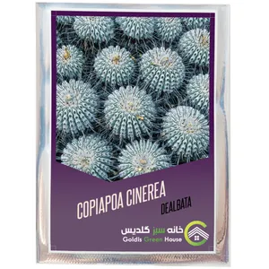 بذر کوپیاپوا سینره آ دلباتا خانه سبز گلدیس کد 09