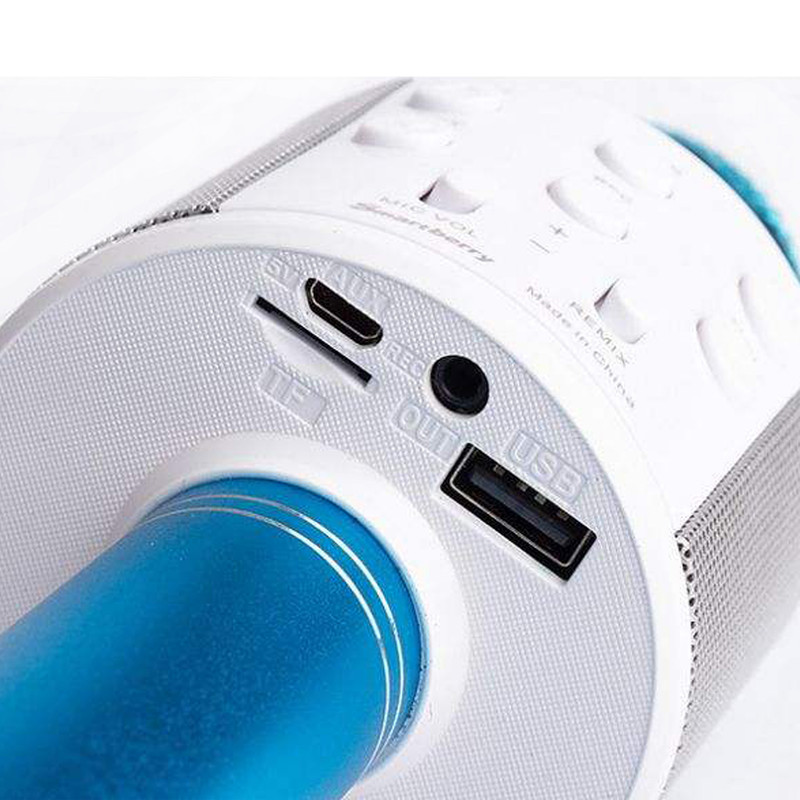 میکروفن اسپیکر مدل WS-858 2