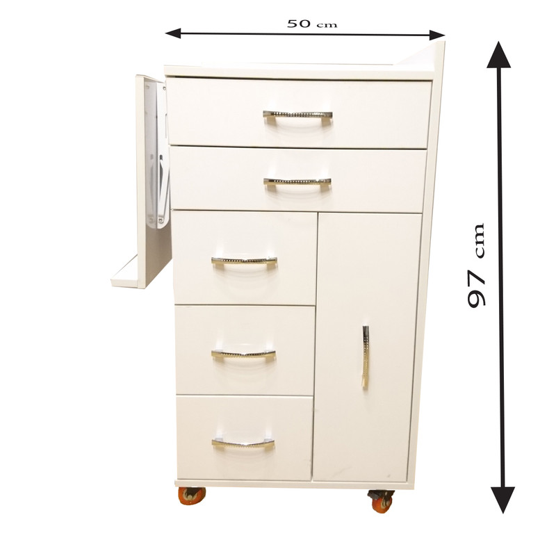 میز ترولی آرایشگاهی کد D-01 میز ترولی آرایشگاهی کد D-01