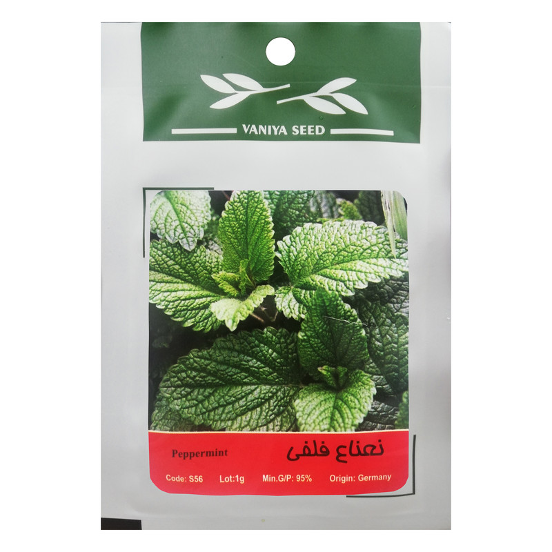 بذر نعنا فلفلی وانیا سید مدل S56 بذر نعنا فلفلی وانیا سید مدل S56