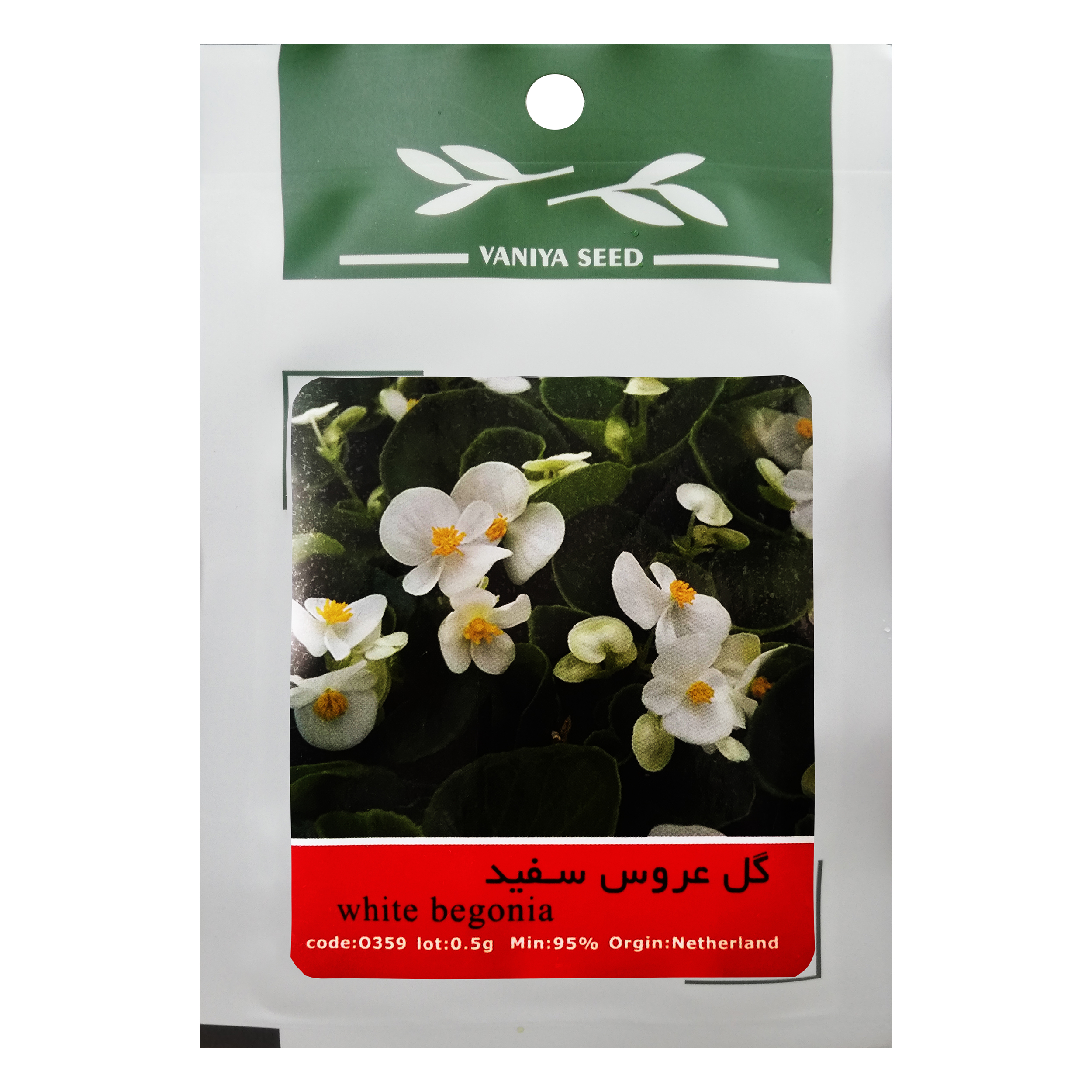 بذر گل عروس سفید وانیا سید مدل O359