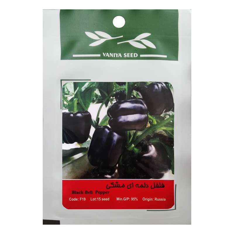 بذر فلفل دلمه مشکی وانیا سید مدل F19