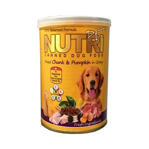 نقد و بررسی کنسرو غذای سگ نوتری پت مدل Chunk &amp; Pumpkin وزن 425 گرم توسط خریداران