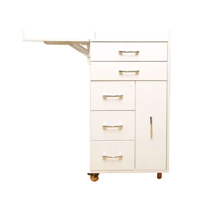 میز ترولی آرایشگاهی کد D-01 میز ترولی آرایشگاهی کد D-01