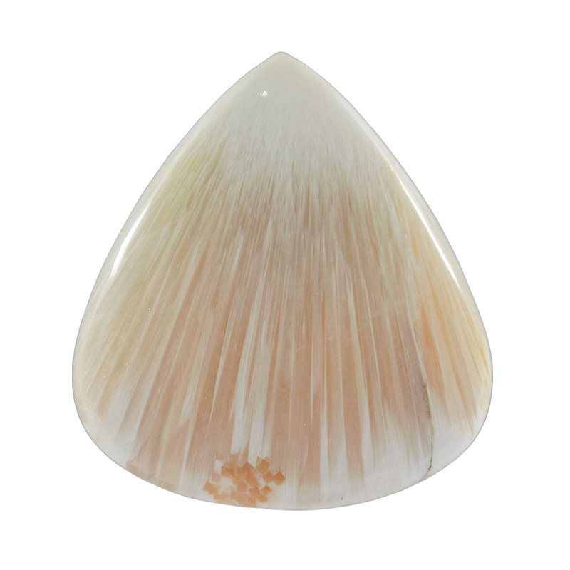 سنگ اسکولسیت کد TG6208