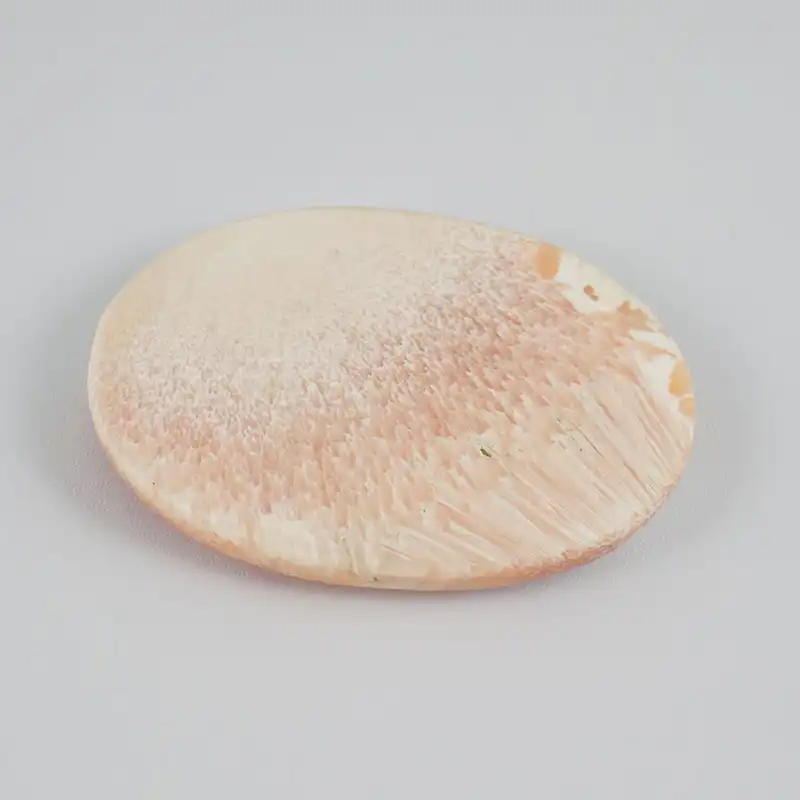 سنگ اسکولسیت کد TG6213