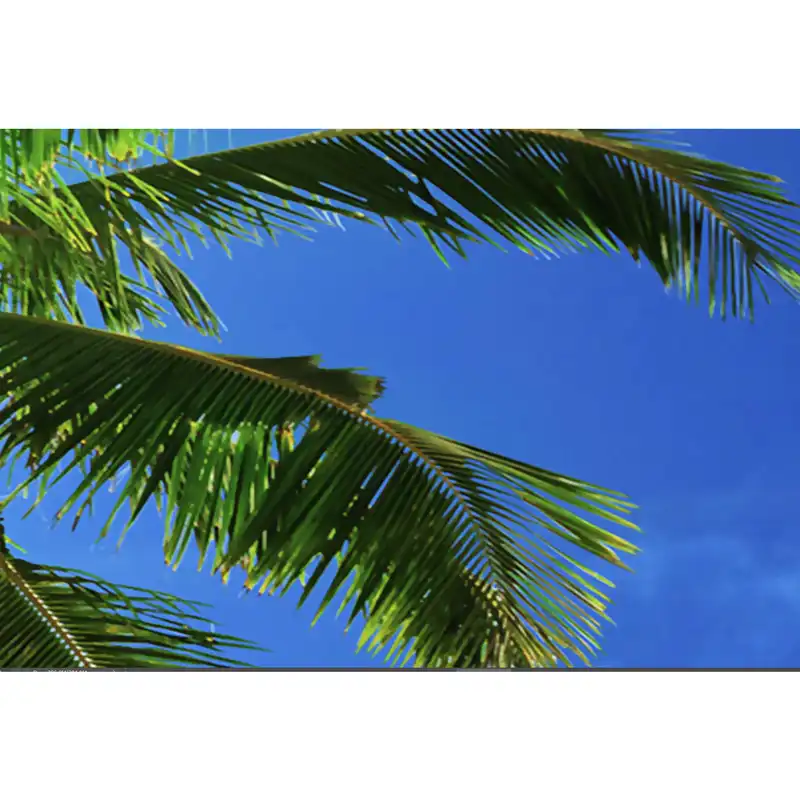 پوستر دیواری طرح ساحل کد p17