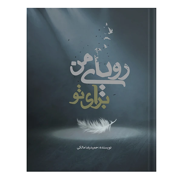 کتاب رویای من برای تو اثر حمیدرضا ملکی انتشارات نسل روشن