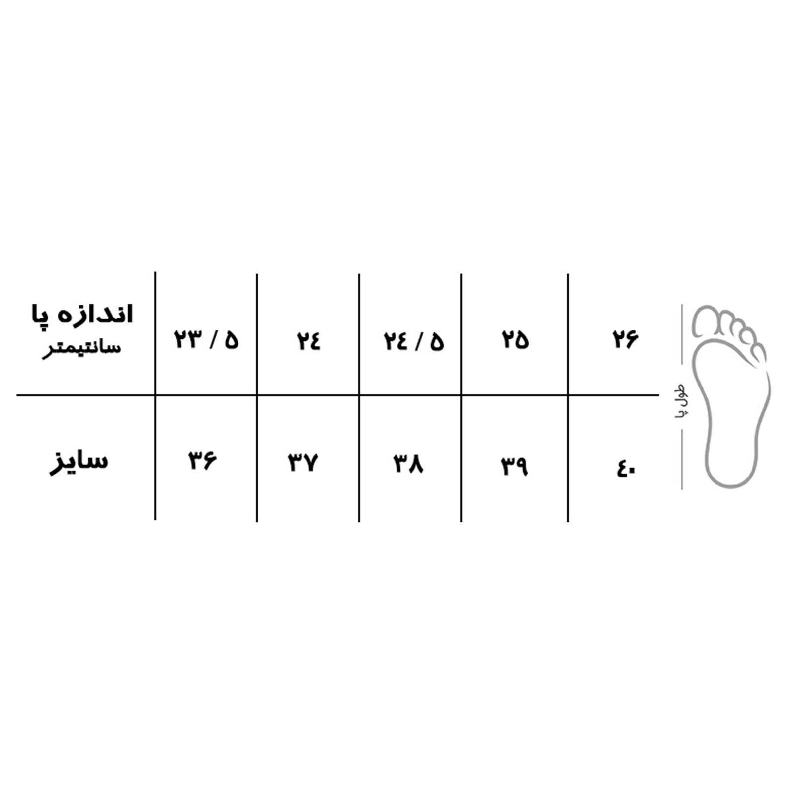 دمپایی زنانه کد 1093.1 -  - 5