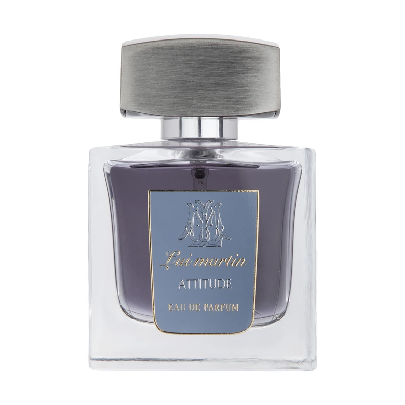 ادو پرفیوم مردانه ونت دست مدل Attitude حجم 100 میلی لیتر