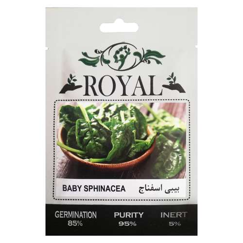 بذر بیبی اسفناج رویال مدل S1