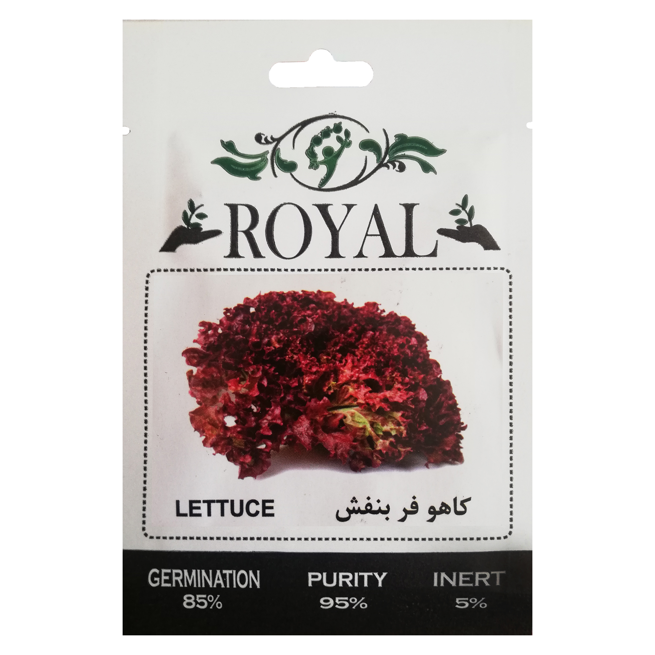 بذر کاهو فر بنفش رویال مدل S3