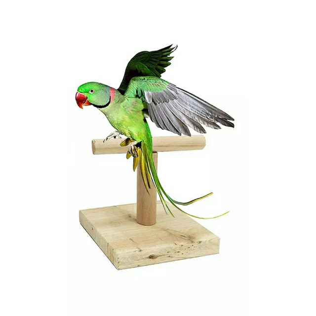 پایه نشیمنگاه پرندگان مدل 0644