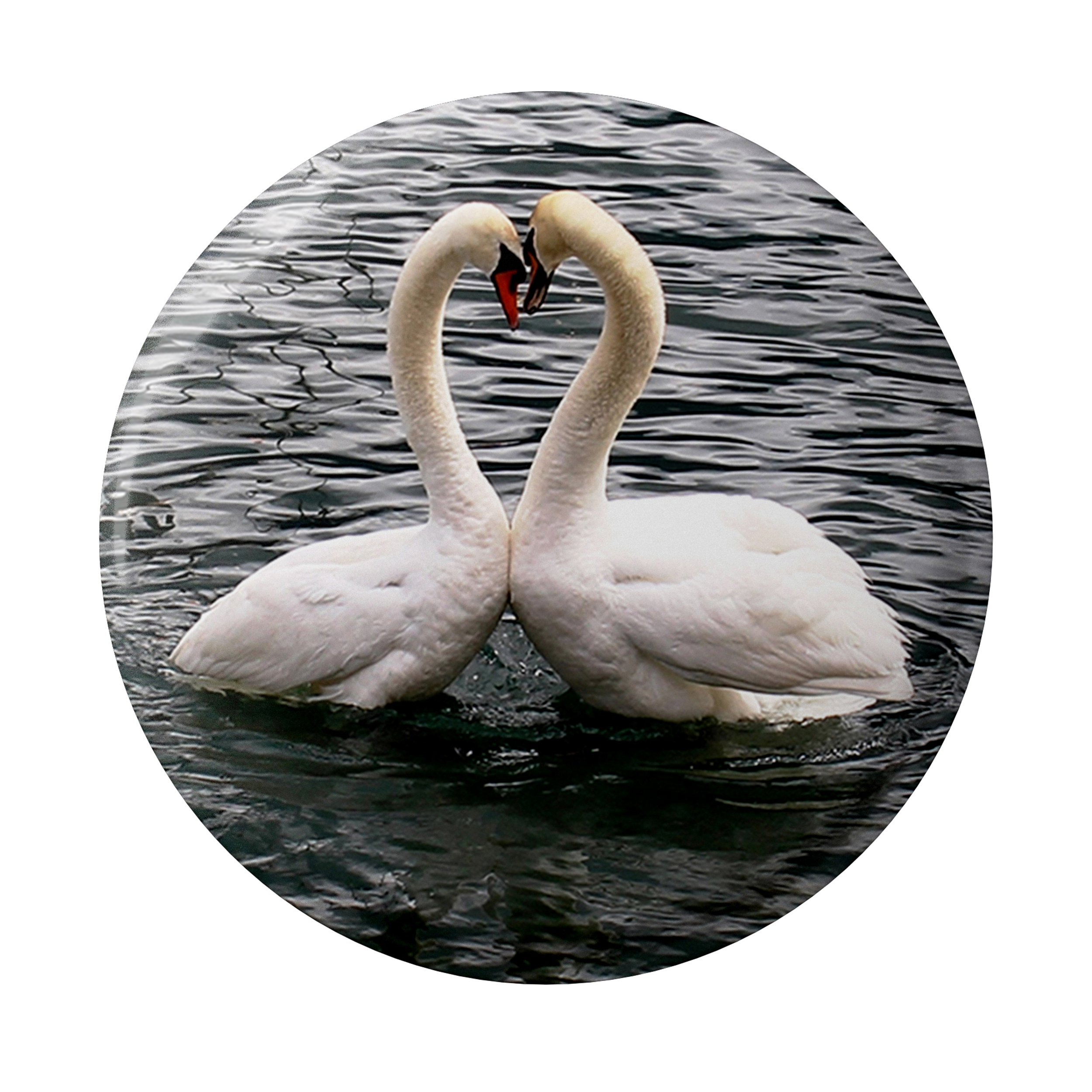 پیکسل طرح قو مدل S1011