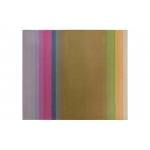 طلق پونز مدل p-z1001 بسته 20 عددی