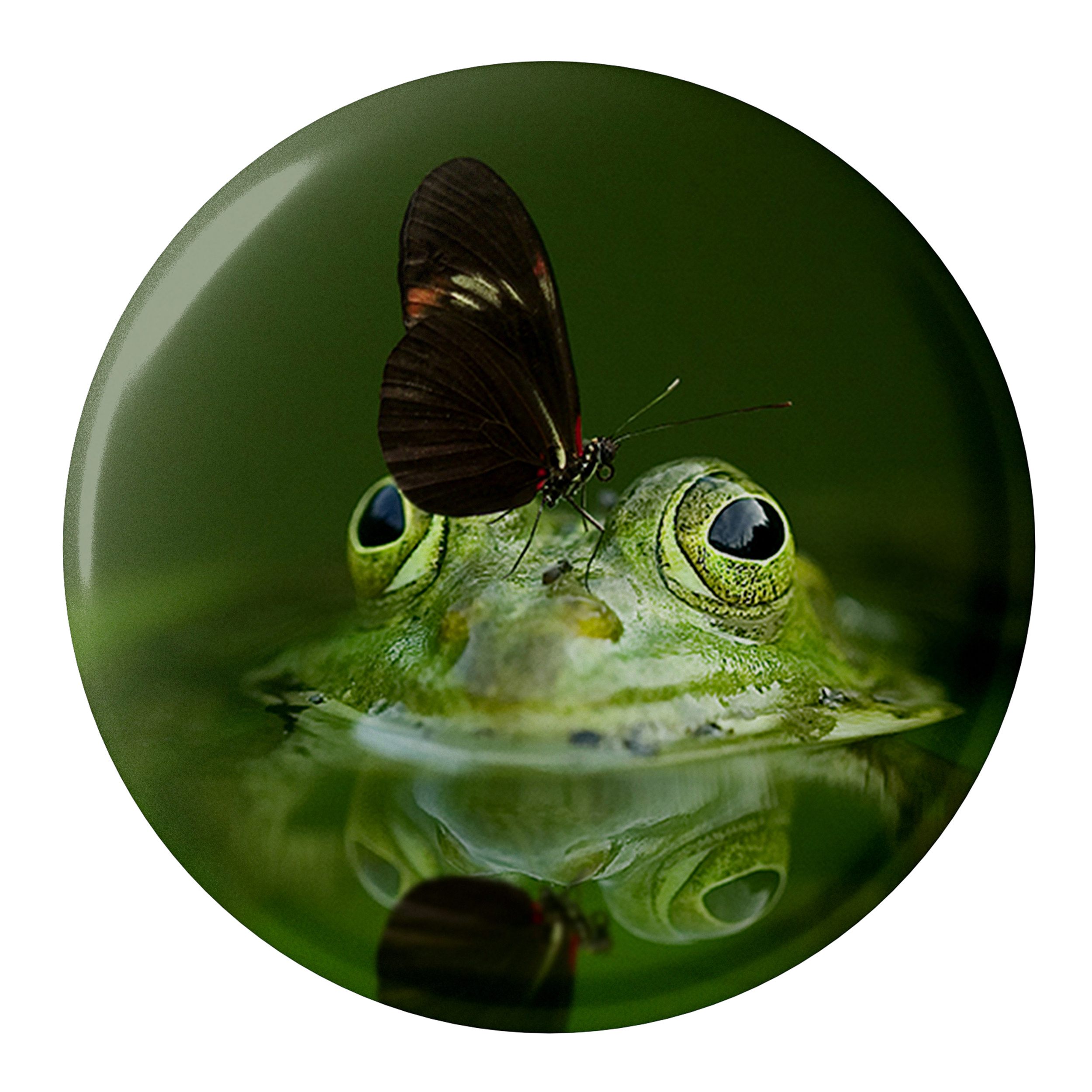 پیکسل طرح قورباغه و پروانه مدل S1034