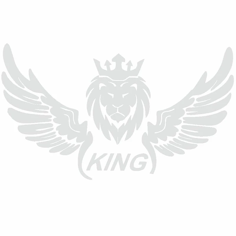 برچسب بدنه ی خودرو طرح بال کد SB101