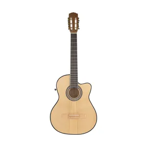 گیتار کلاسیک کد 006