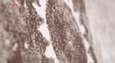 فرش ماشینی زمرد مشهد طرح 7006 زمینه صورتی thumb 7