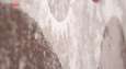 فرش ماشینی زمرد مشهد طرح 7006 زمینه صورتی thumb 9