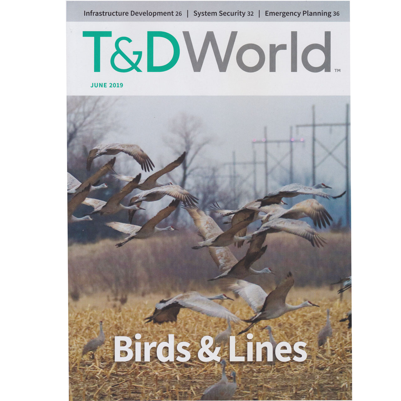 مجله  T&D World ژوئن 2019