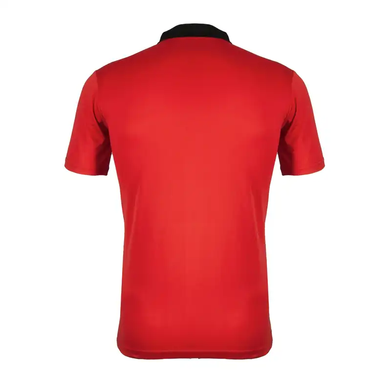 پولوشرت ورزشی مردانه ای.اچ.ای مدل BS 313-1