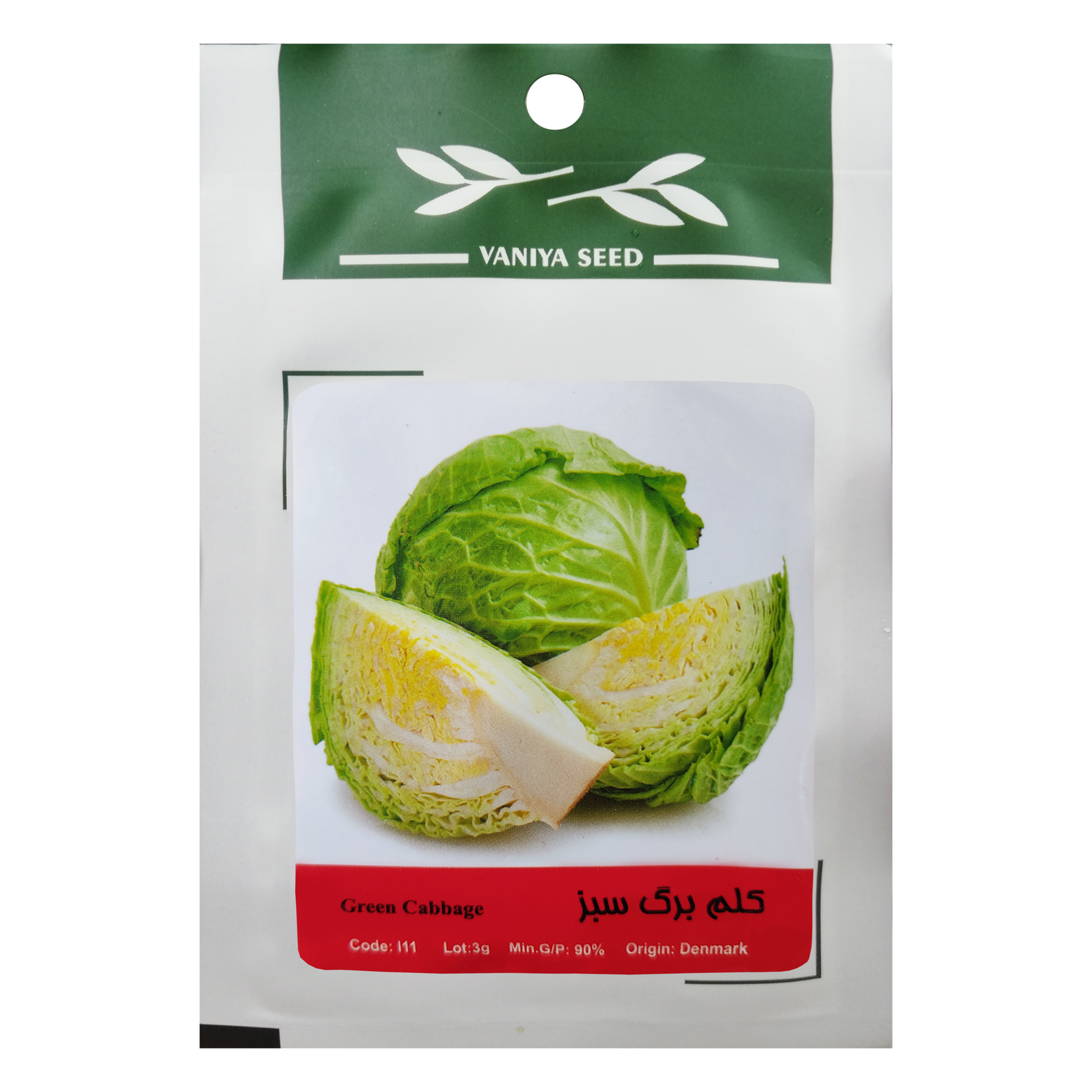 بذر کلم برگ سبز وانیا سید مدل I11