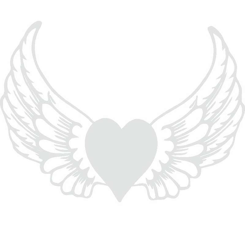 برچسب بدنه خودرو طرح بال کد SB102