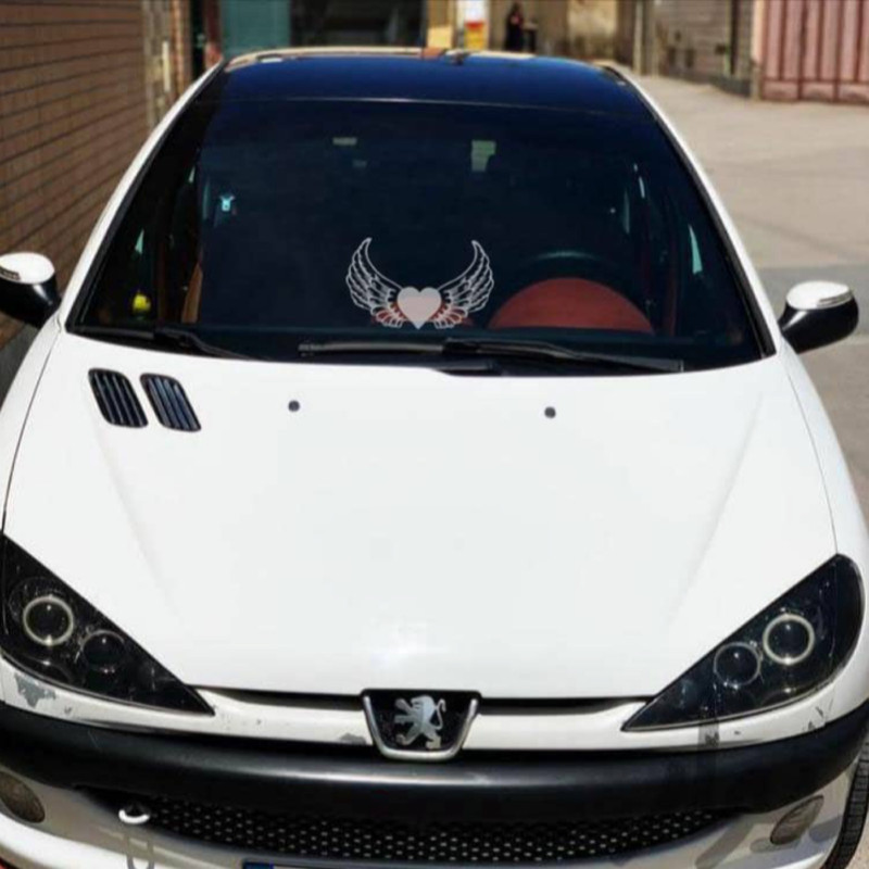 برچسب بدنه خودرو طرح بال کد SB102