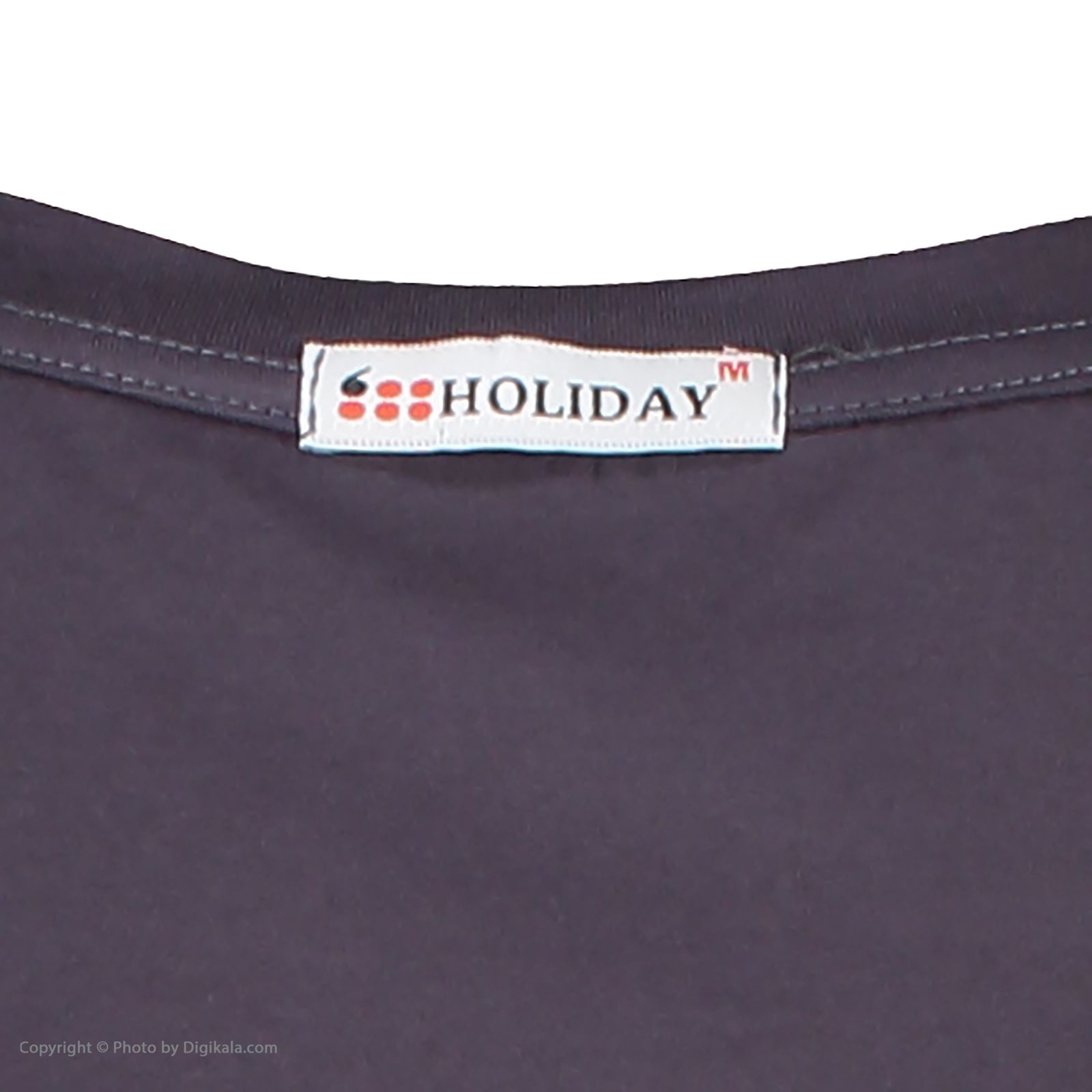  تی شرت ورزشی زنانه هالیدی مدل 804501-gray -  - 6