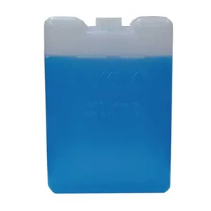 EXAM 0032 Travel Ice Pack