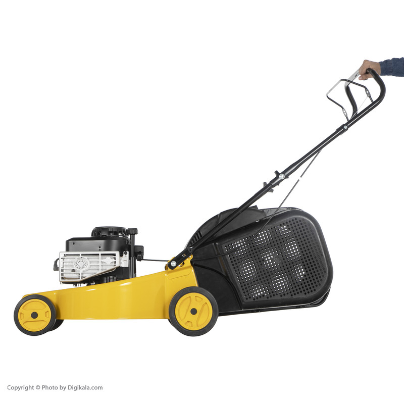 چمن زن جینج کد 118366