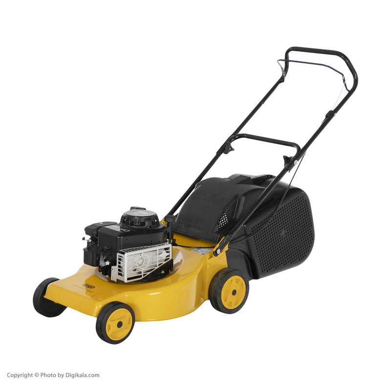 چمن زن جینج کد 118366