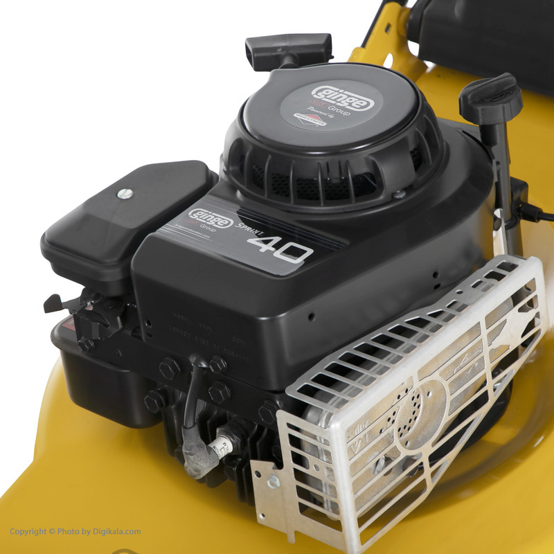 چمن زن جینج کد 118366