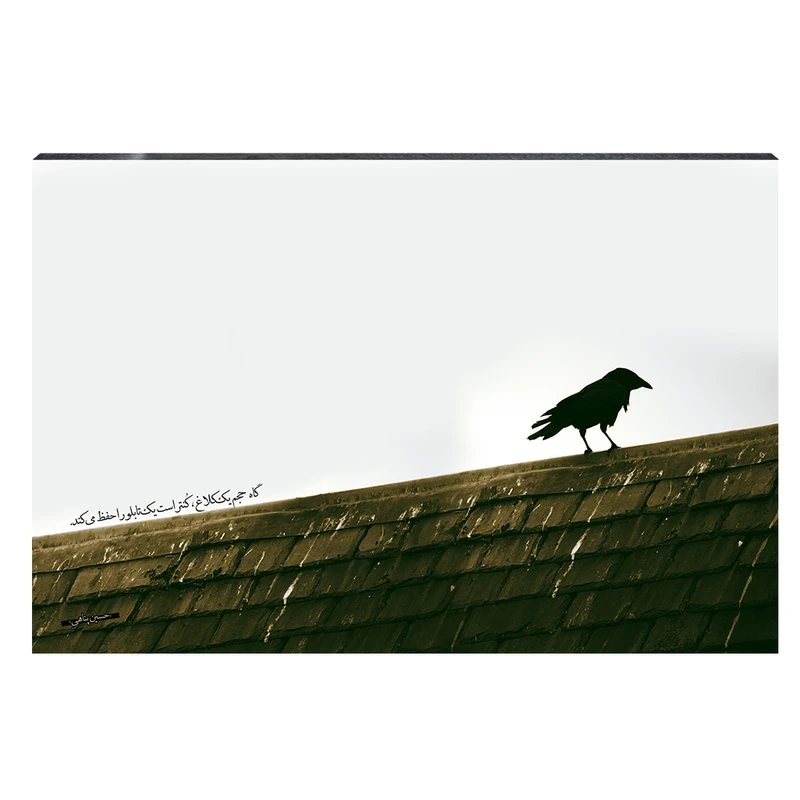 تابلو شاسی طرح گاه حجم یک کلاغ، کنتراست یک تابلو را حفظ می‌کند کد S46