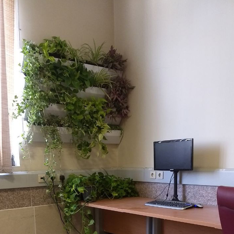 گلدان دیواری مدل gp2