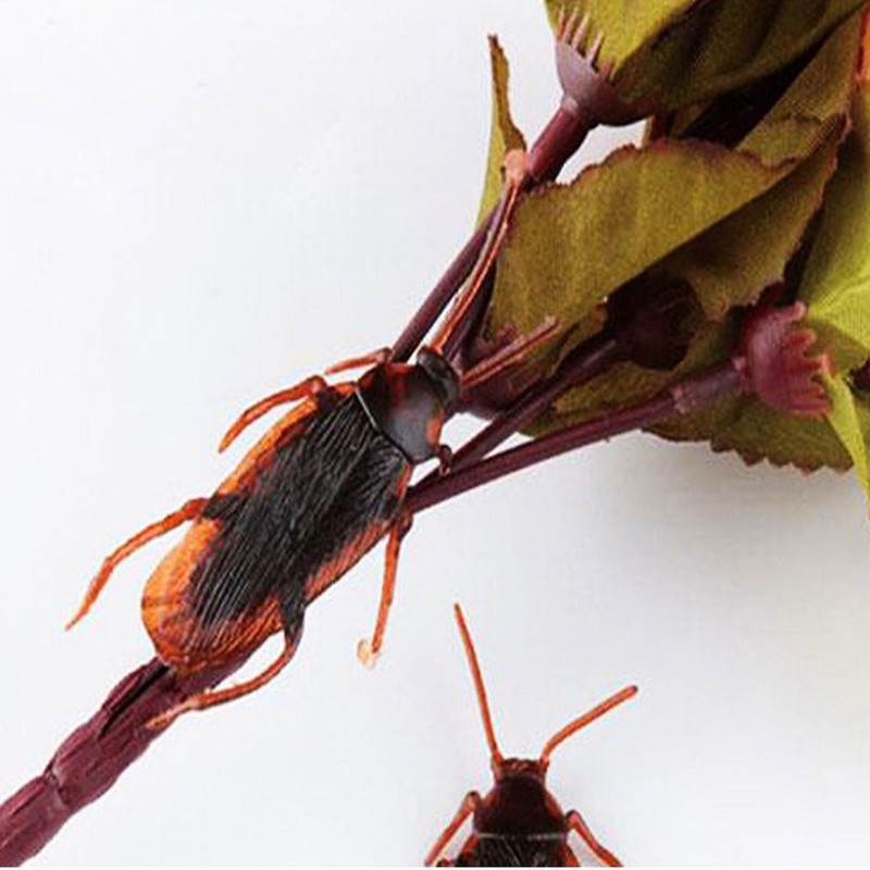 ابزار شوخی دنیای سرگرمی های کمیاب طرح سوسک مصنوعی مدل DSK1770 مجموعه 5 عددی