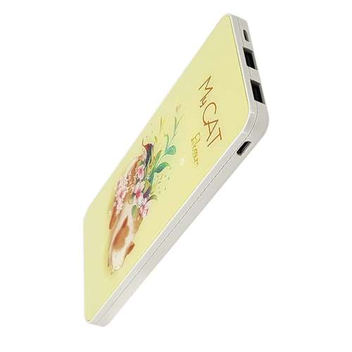 شارژ همراه جوی روم مدل PT-D02 طرح گربه ظرفیت 8000 میلی آمپر ساعت