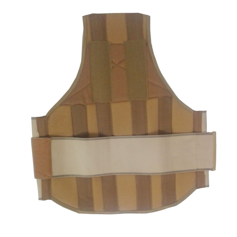 قوزبند و کمربند طب پوش کد231