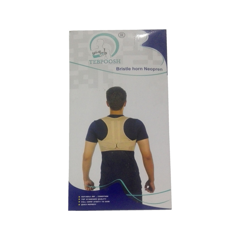 قوزبند و کمربند طب پوش کد231