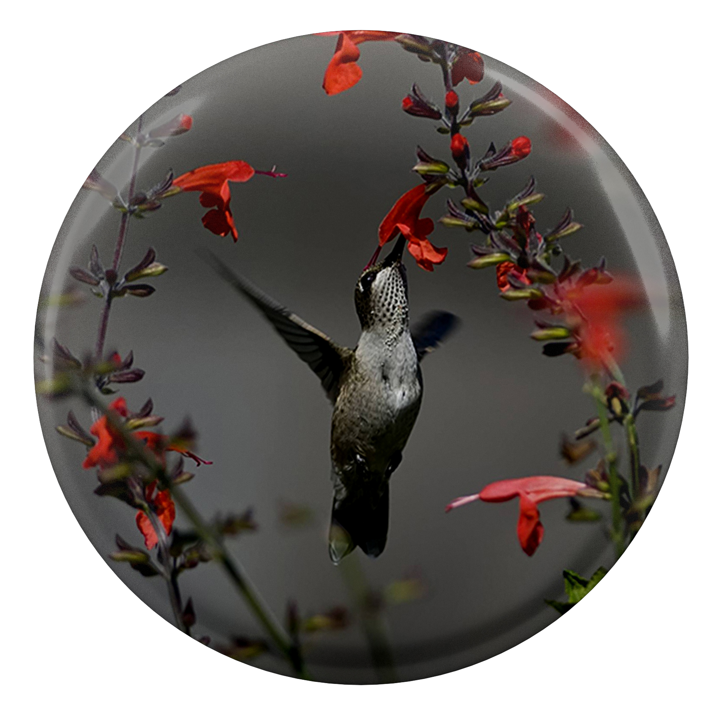 پیکسل طرح پرنده و گل مدل S1166