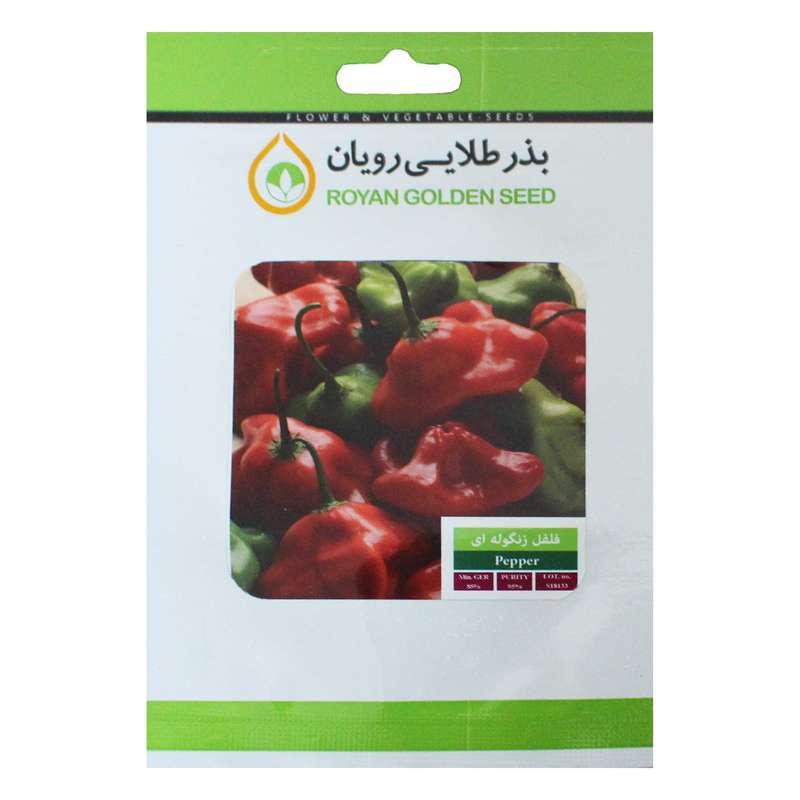 بذر فلفل زنگوله ای بذر طلایی رویان مدل BZTR-062 بذر فلفل زنگوله ای بذر طلایی رویان مدل BZTR-062