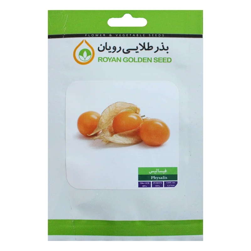 بذر فیسالیس بذر طلایی رویان مدل BZTR-066