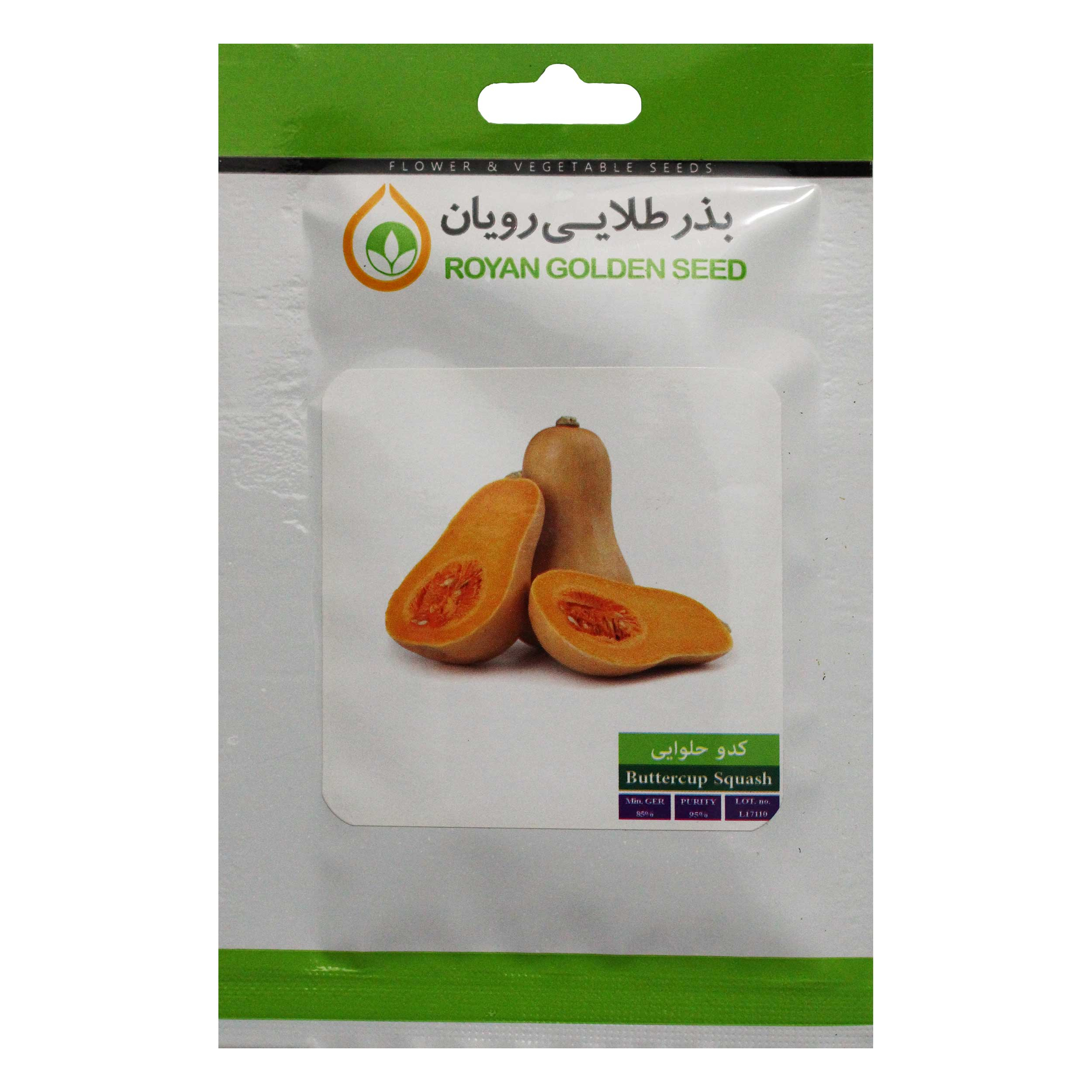 بذر کدو حلوایی بذر طلایی رویان مدل BZTR-069